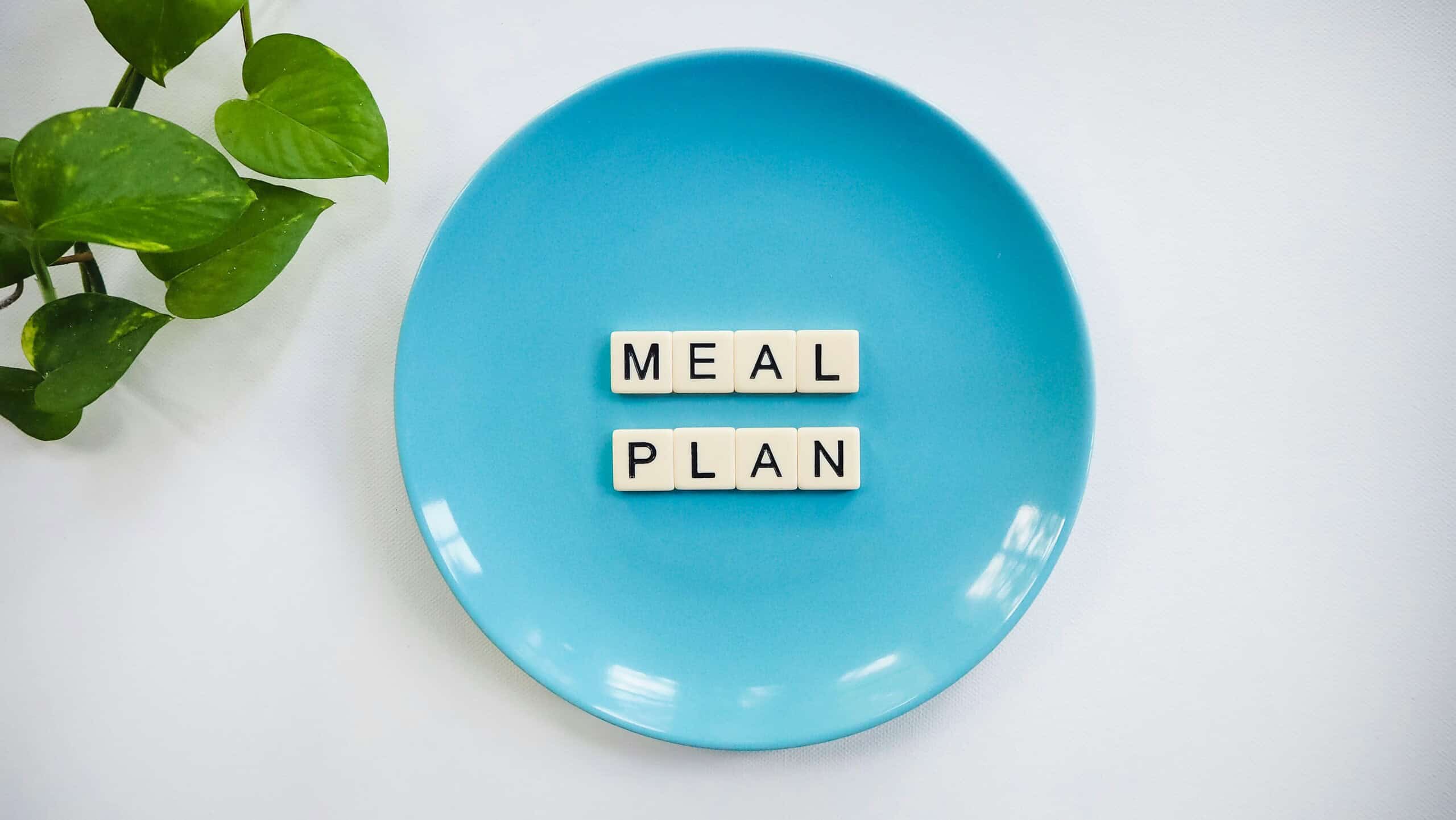 Vegan Recipes For Beginners